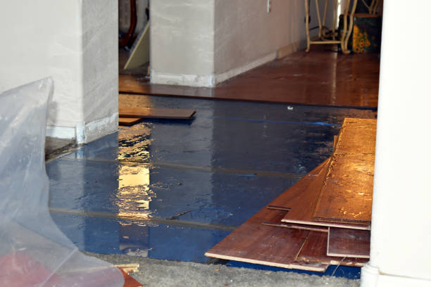 Professional Water Extraction technician working in Ravenna, TX